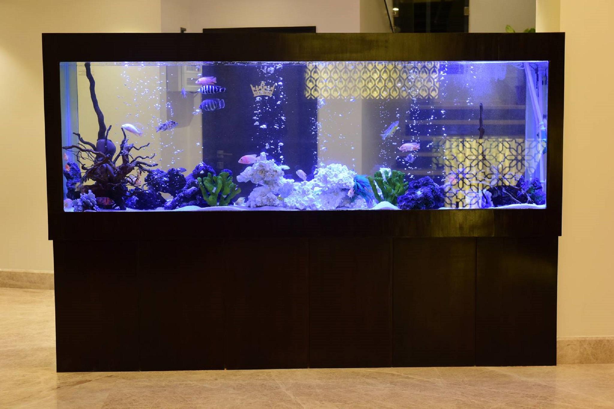 Отель The Flora Grand, Vasco, Goa Васко-да-Гама Экстерьер фото